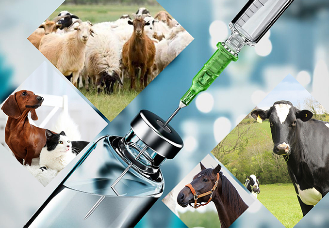 Veterinary PCD Pharma Franchise business
